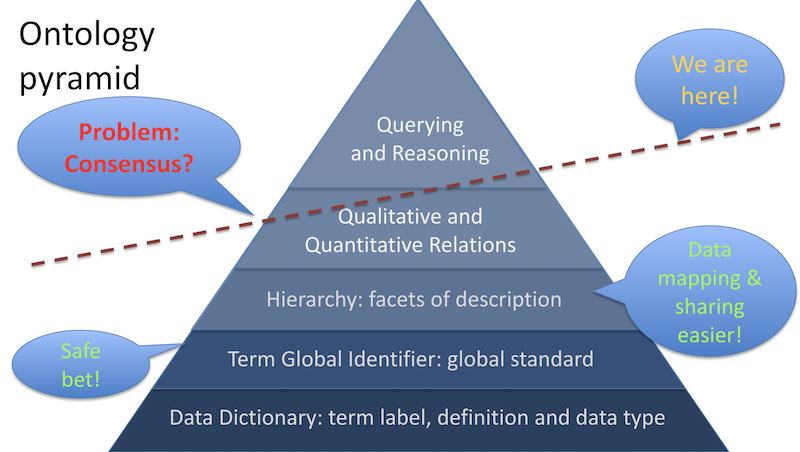 Meaning Of Ontology